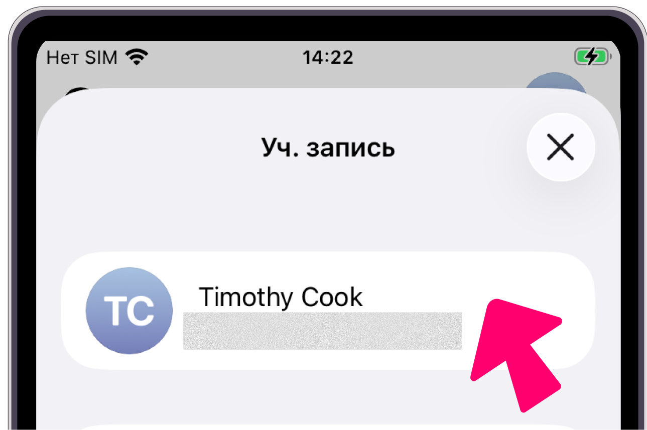 Экран учётной записи